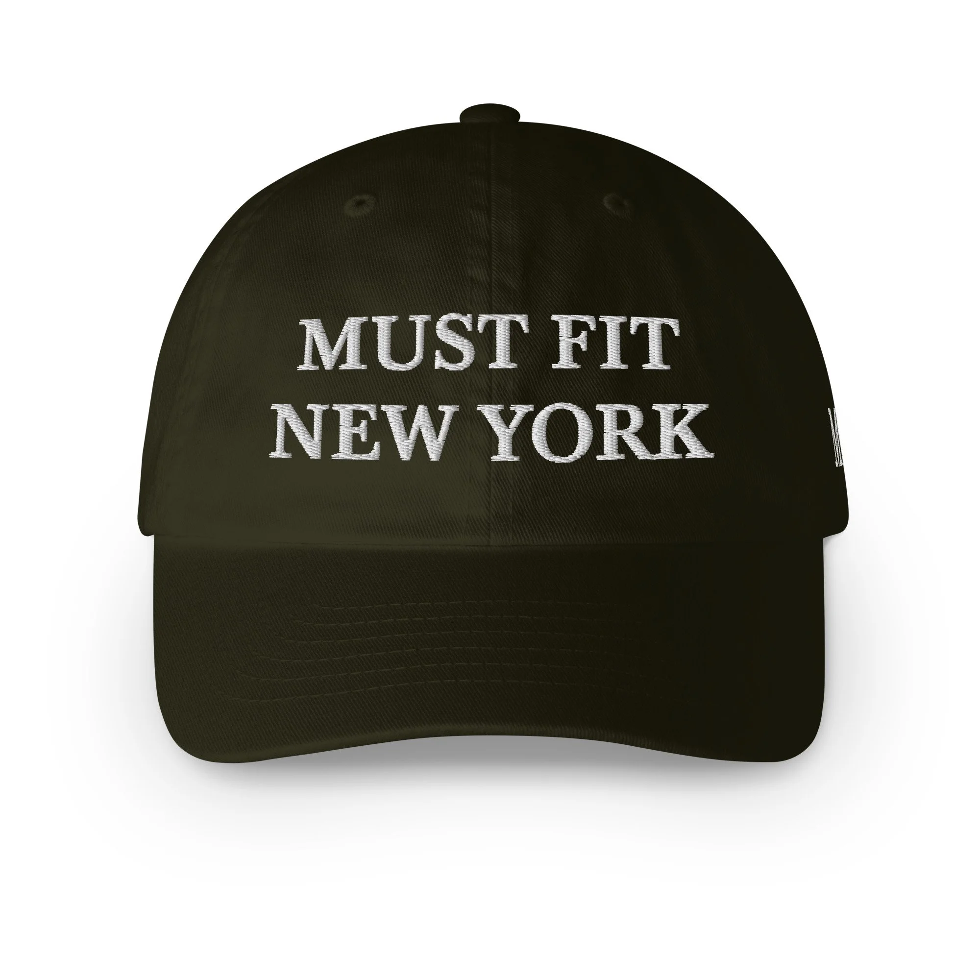 ecowash-dad-hat-olive-night-front-6acfdb3b1a72d.jpg