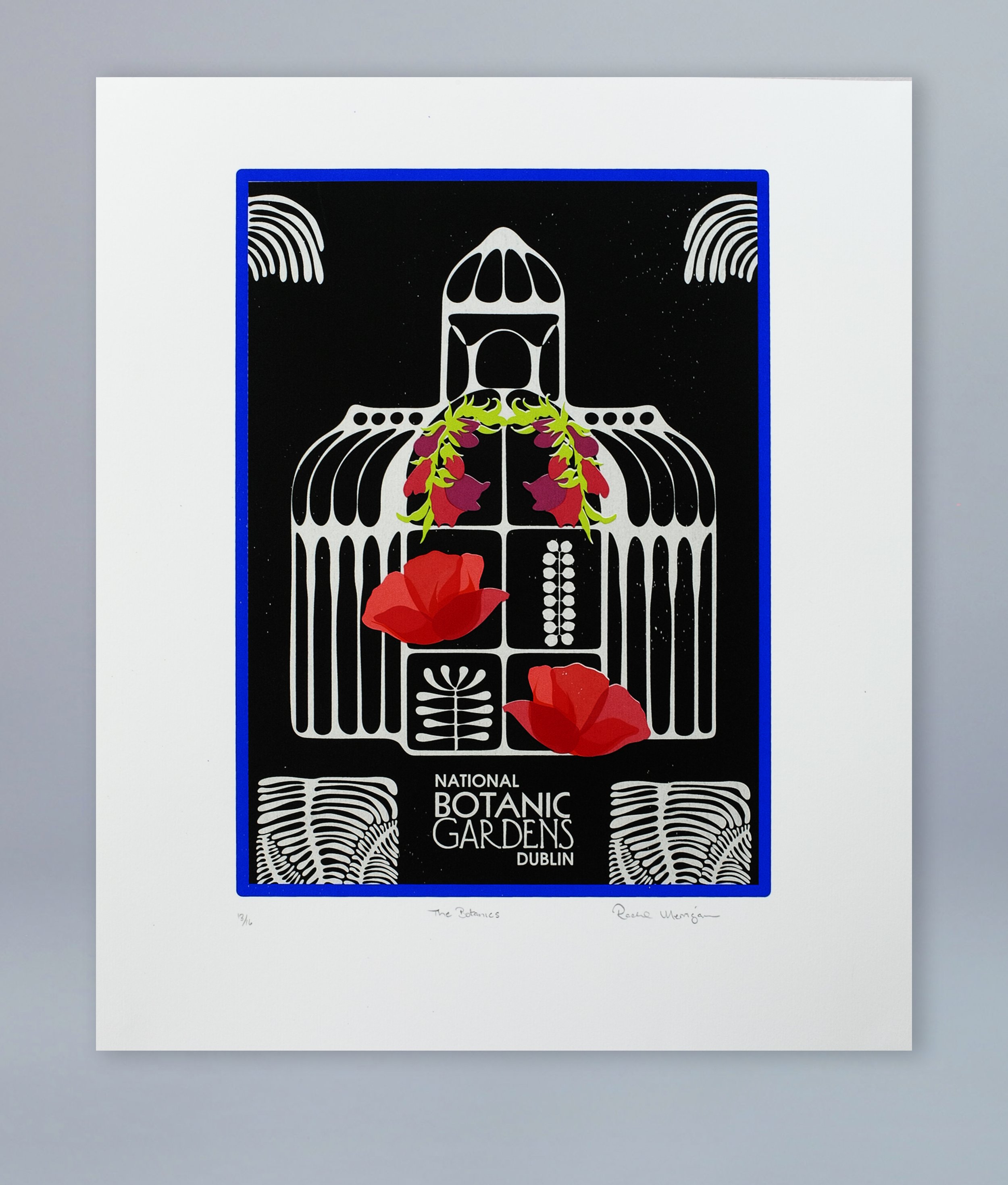 Print of the Bontanic gardens Dublin