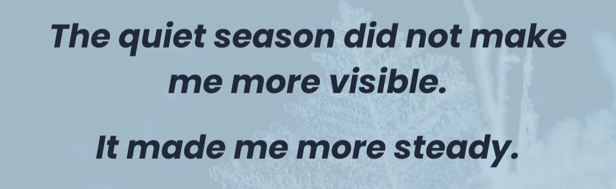 Quote graphic: “The quiet season did not make me more visible. It made me more steady.”
