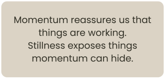 Minimalist quote graphic with dark charcoal text on a soft taupe background reading: “Momentum reassures us that things are working. Stillness exposes things momentum can hide.” Rounded corners and clean typography create a calm, reflective tone.