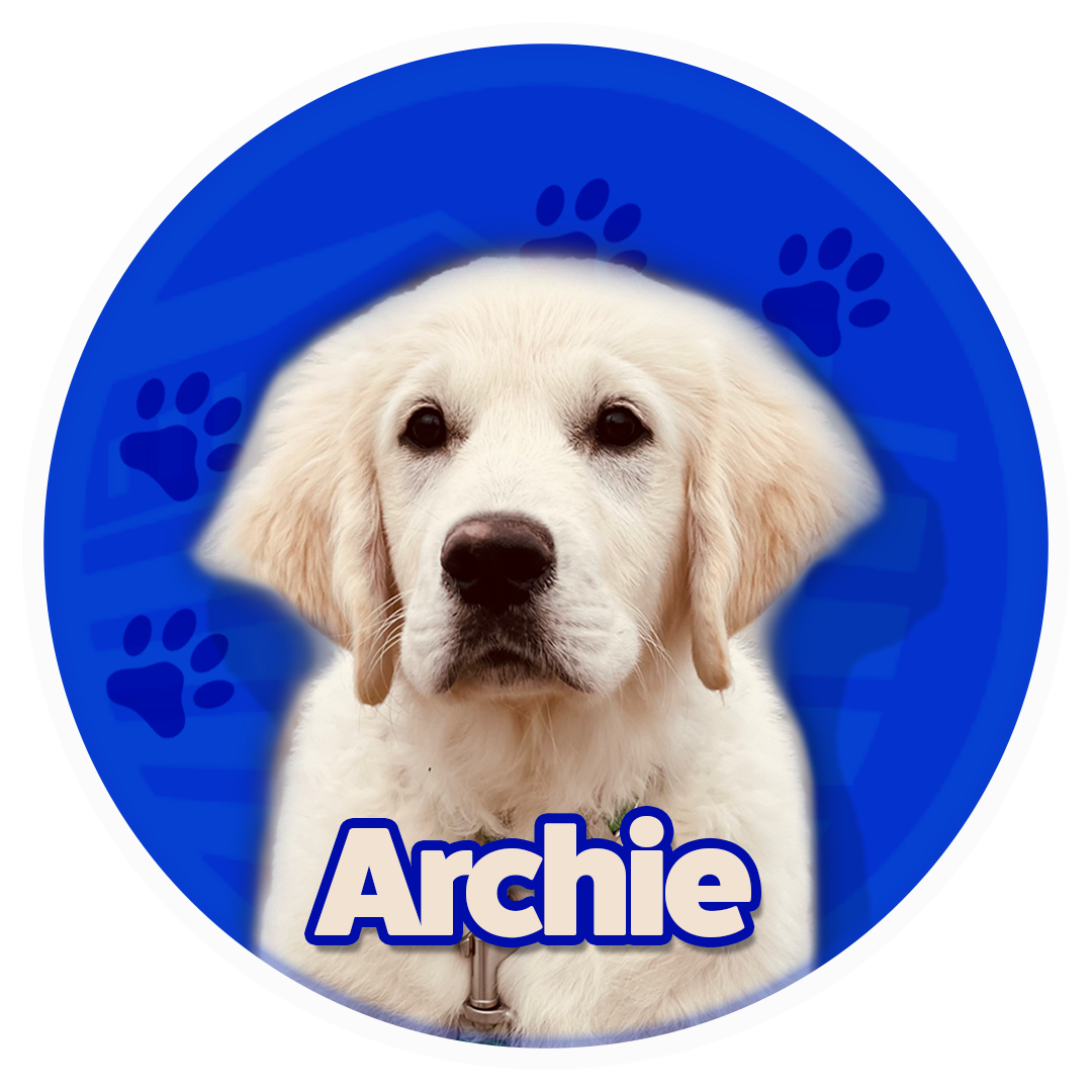 Archie the service dog for Addiction Recovery Care