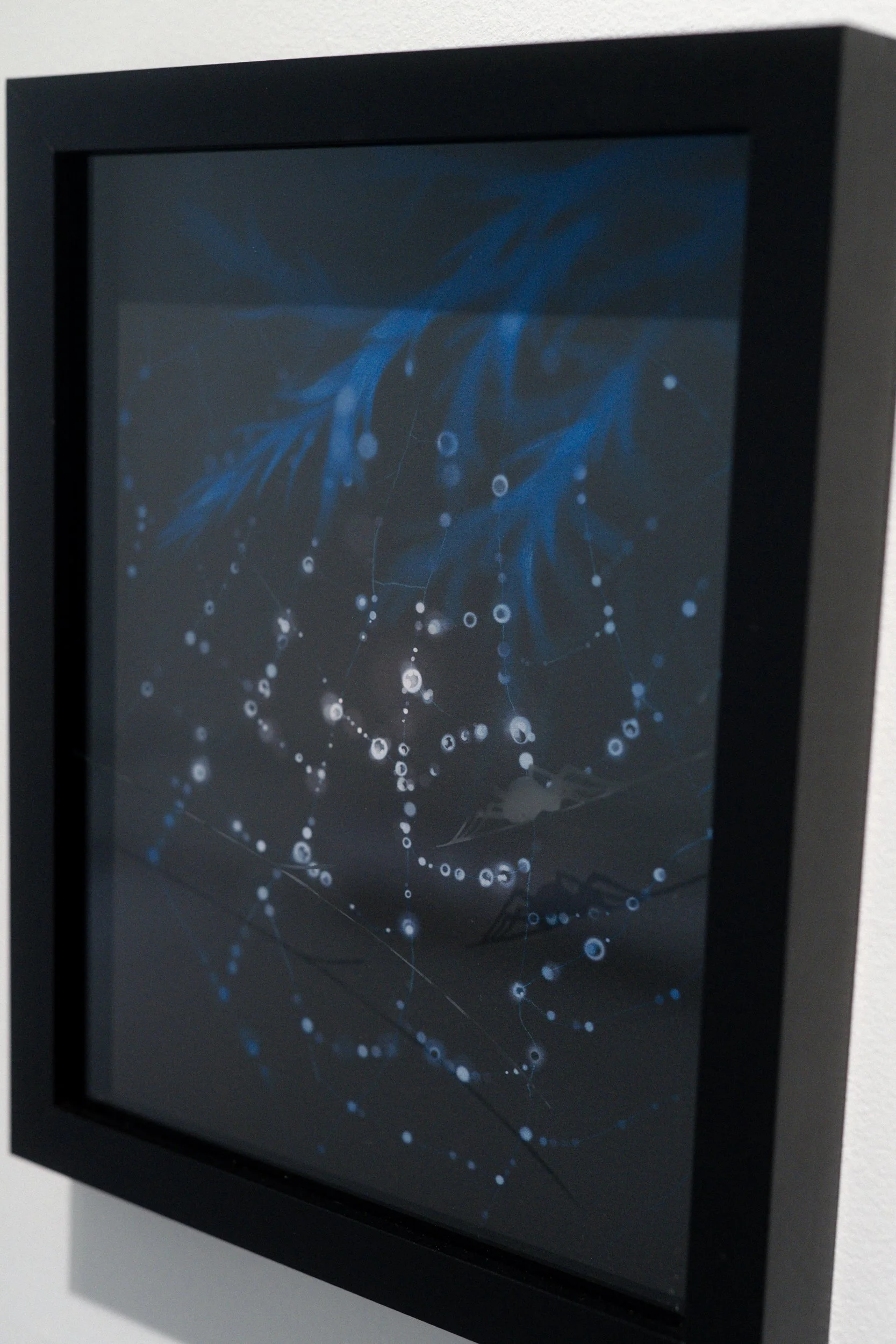 2005 Seeroro_Blueprint_-galleryspace-25.jpg