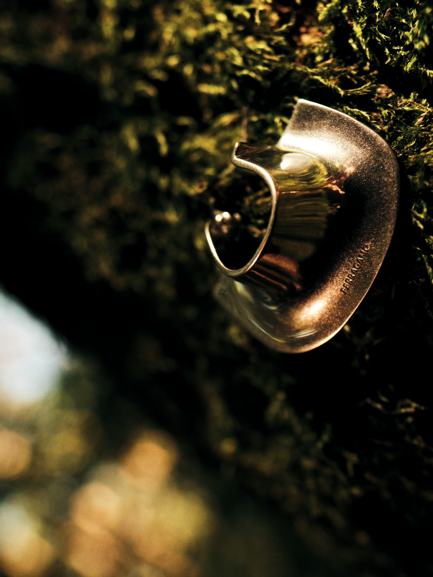 
Treasures of the Forest