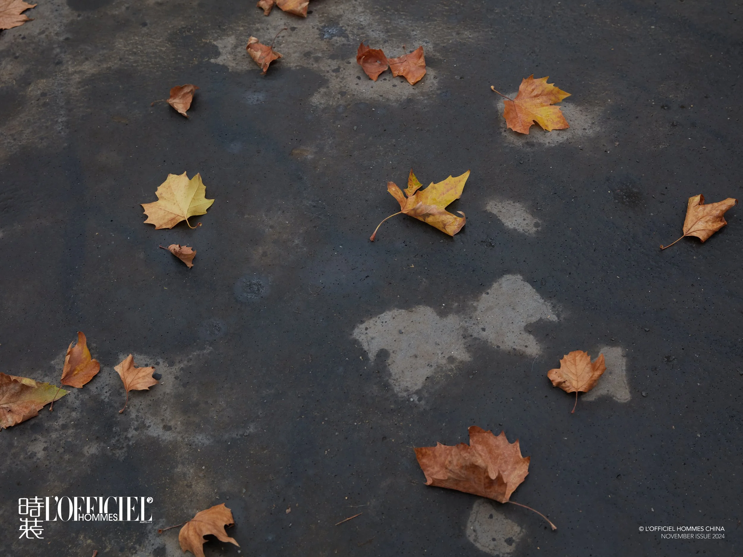 20241108LOFFICIELHOMMESCHINA00686.jpg