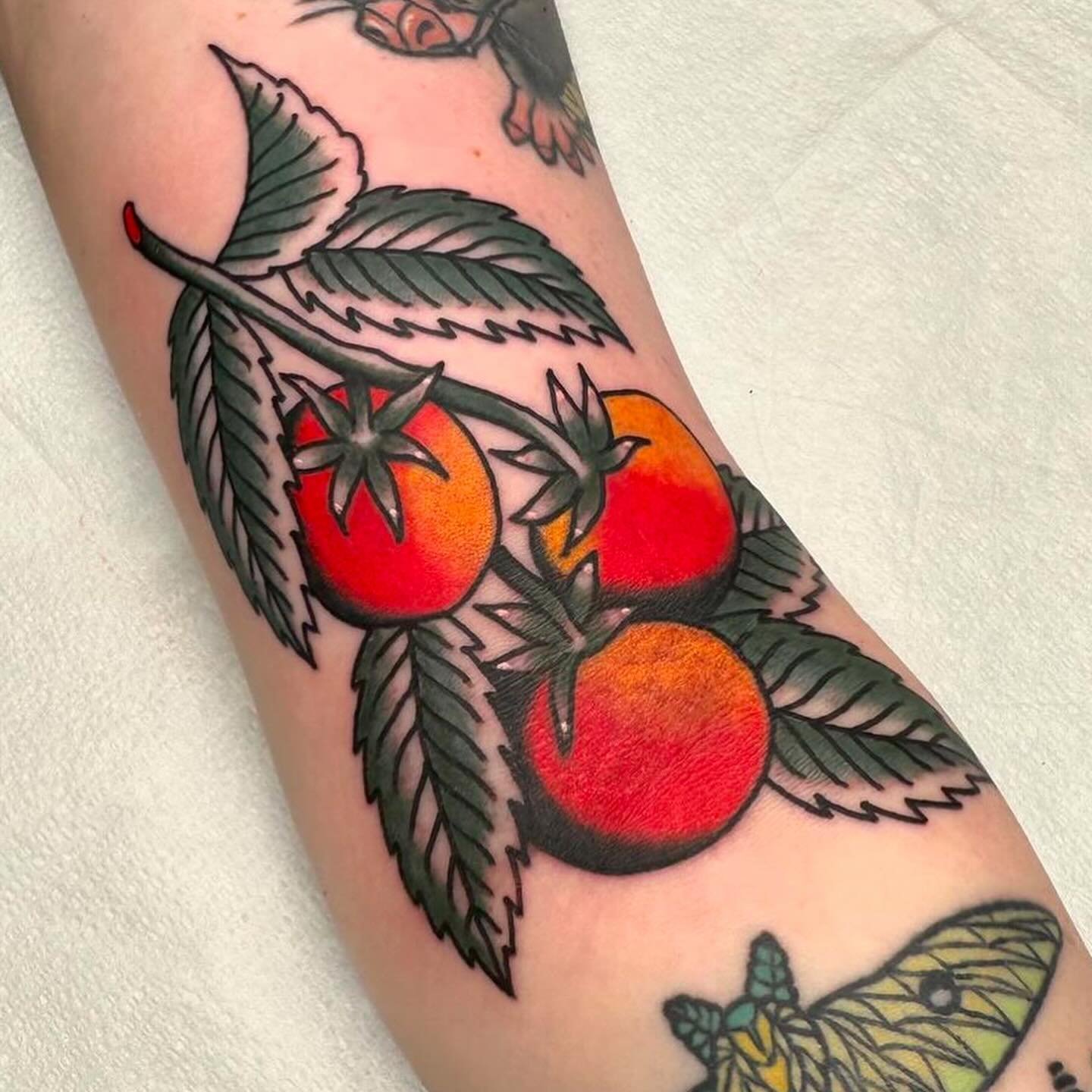 fresh on the vine!! cute tomatos by @carbellatattoo 

to book with carissa, fill out the form linked in her bio! @carbellatattoo 

#gardenfresh #tomatoes #tomatotoes