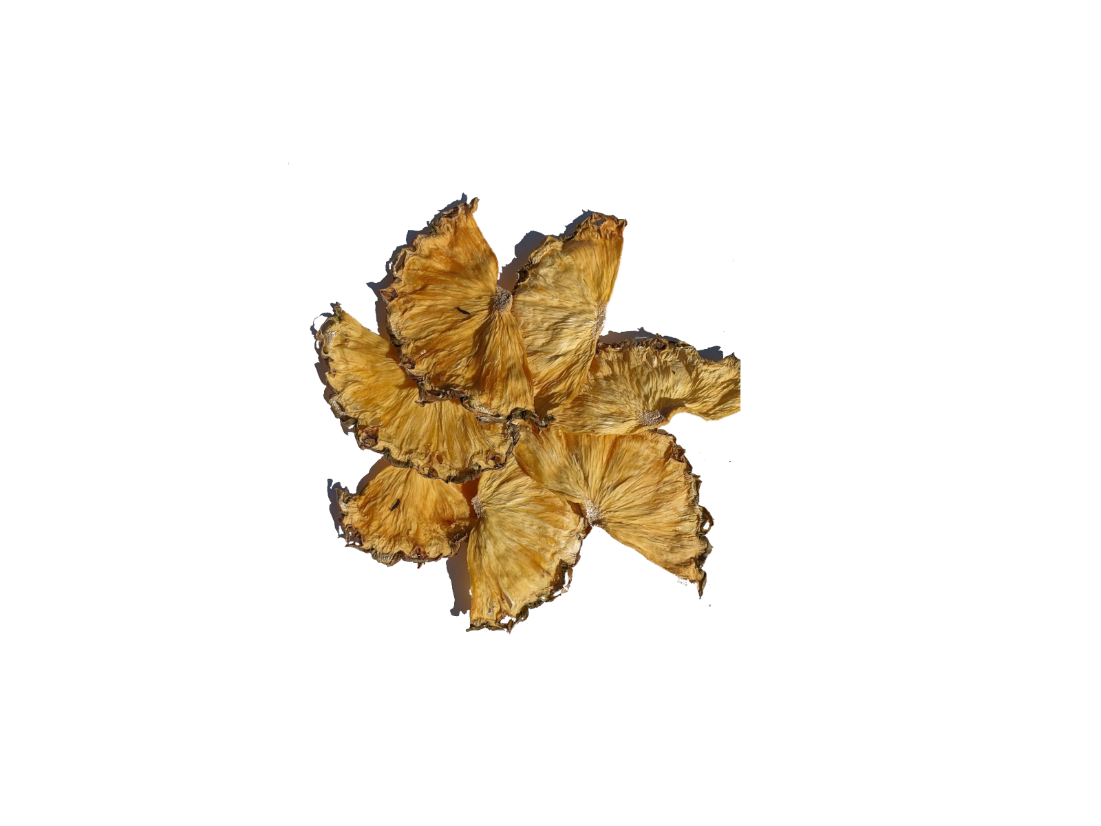 Pineapple Smaller .png