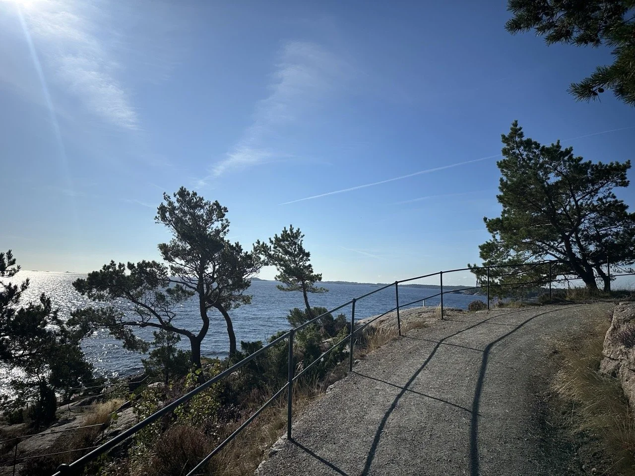 En stien langs en sjø med trær på siden, utsikt mot vann og klar blå himmel med sollys.