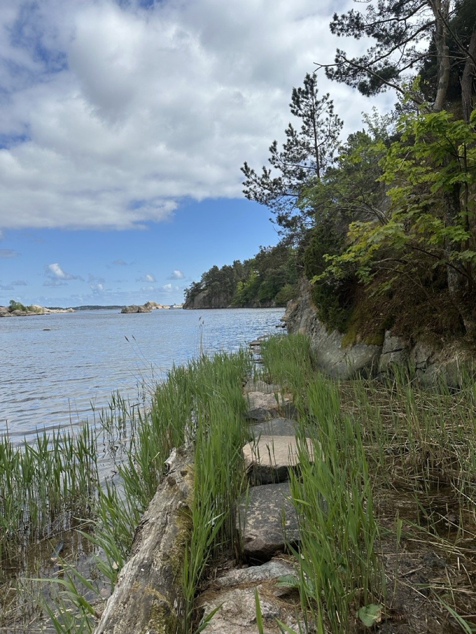 Bilde av en kystlinje med stein- og trestier ved sjøen, omgitt av grønne trær mot en himmel med spredte skyer.