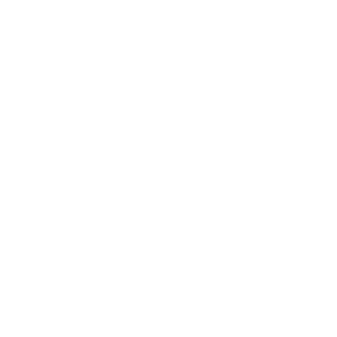 Logo for Nasjonal kommunikasjon myndighet med teksten NCOM og en løve i midten.