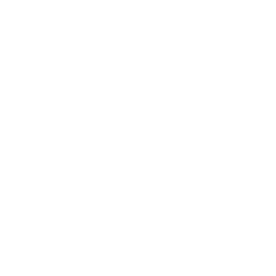 nye-veier-logo-hvit.png