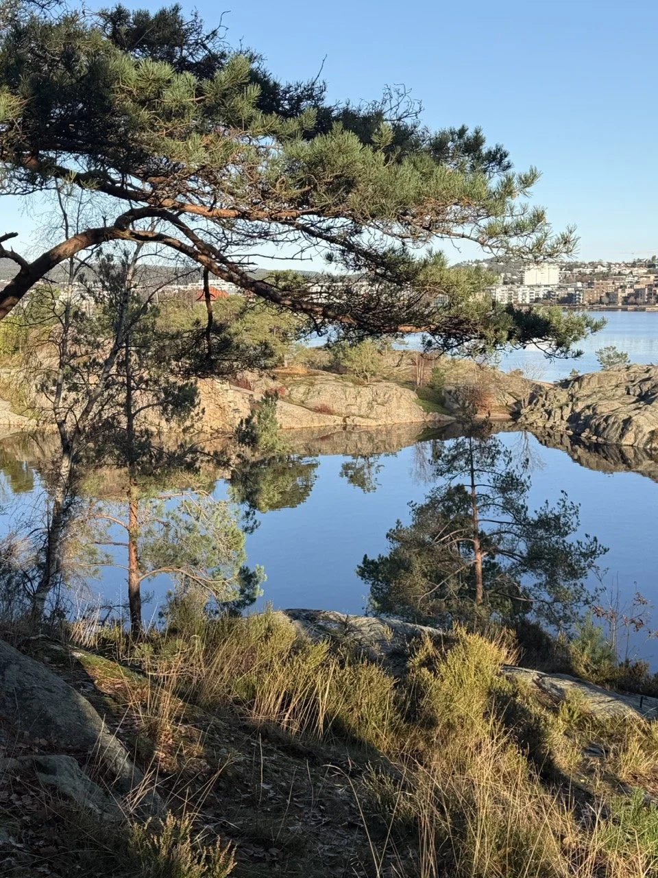 Bilde av en naturskjønn innsjø omgitt av stein, trær og busker, med en by i bakgrunnen mot en klar blå himmel.