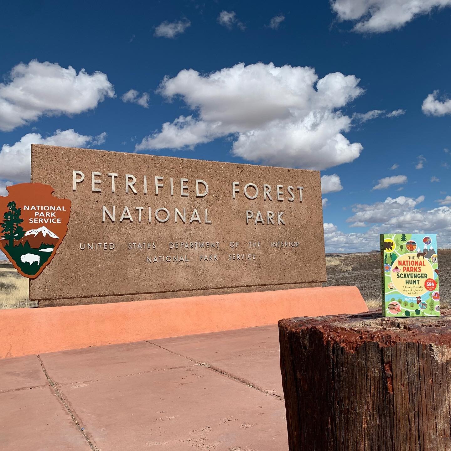 It&rsquo;s release day for this book! National Parks Scavenger Hunt is ready to take exploring. #nationalparks #nationalparkservice