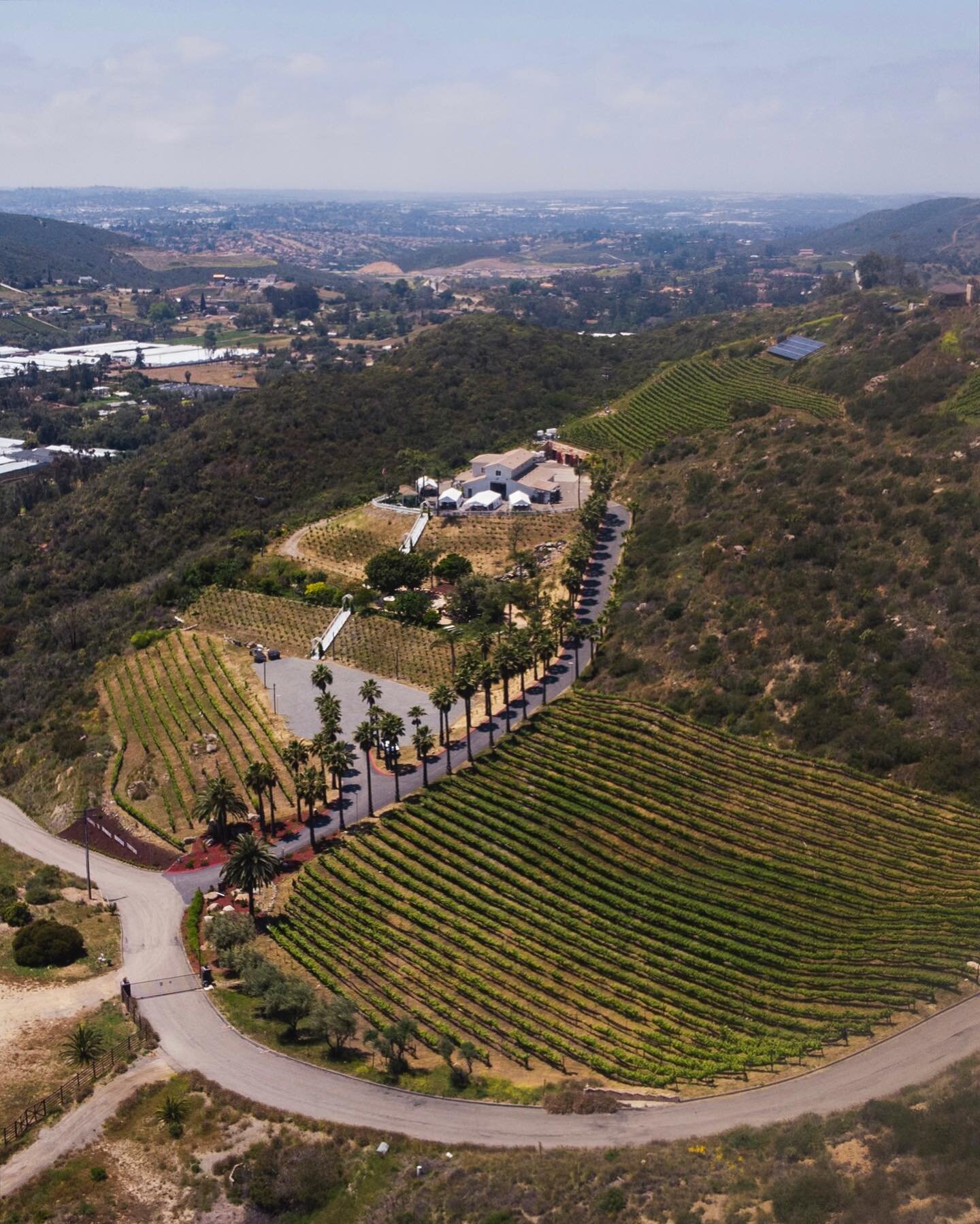 What a view. Come join us and the #sunshine today and grab a glass of North County's finest wine. ☀️🍷

#views #sanmarcos #winery