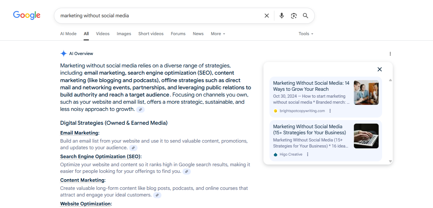 screenshot of Google's AI snapshot