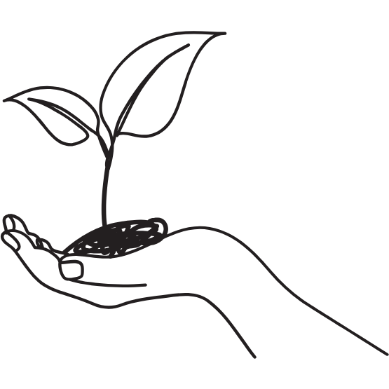 sketch drawing of a plant - seo copywriting starter package