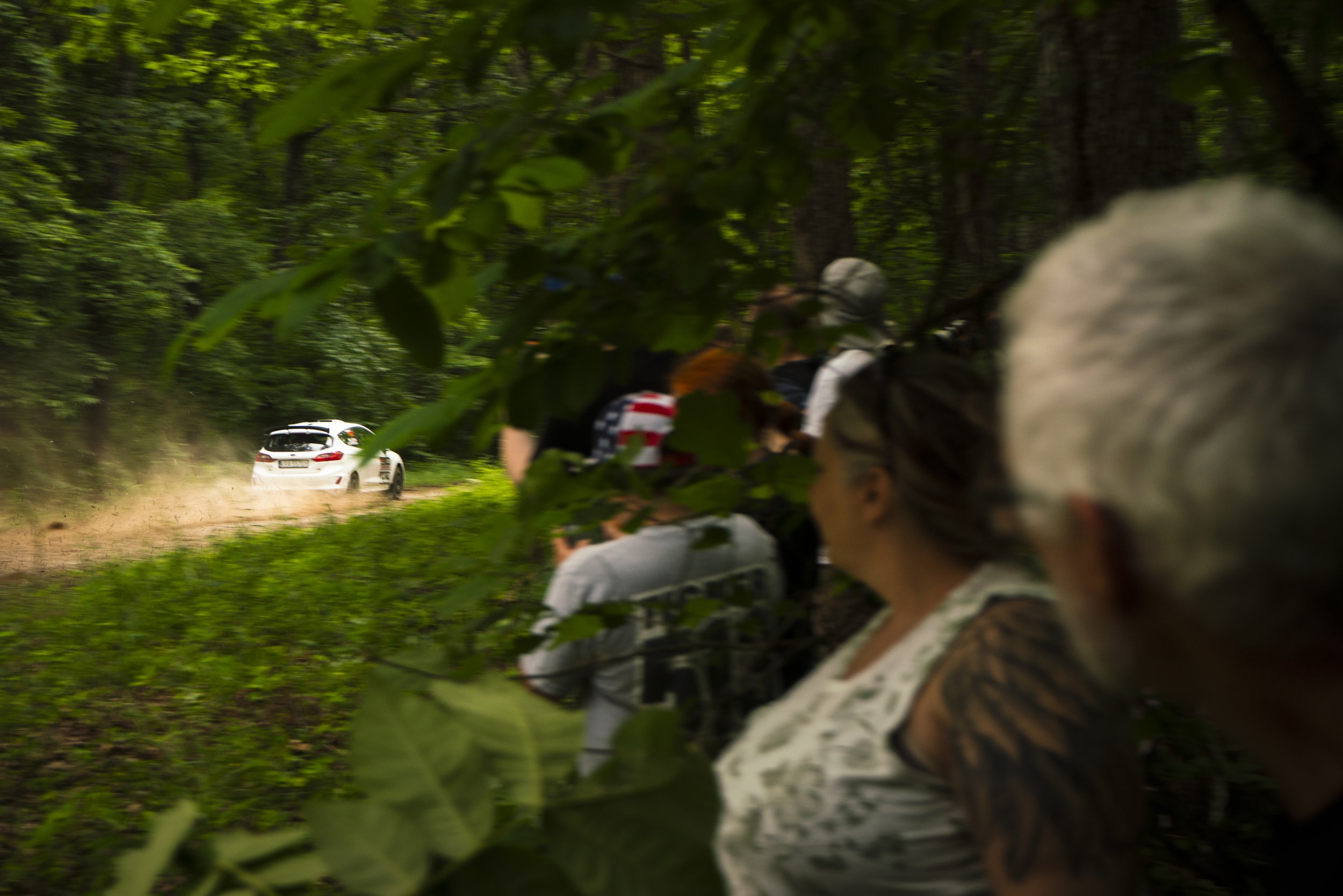 MJB_240608_9799-4k-LE.jpg