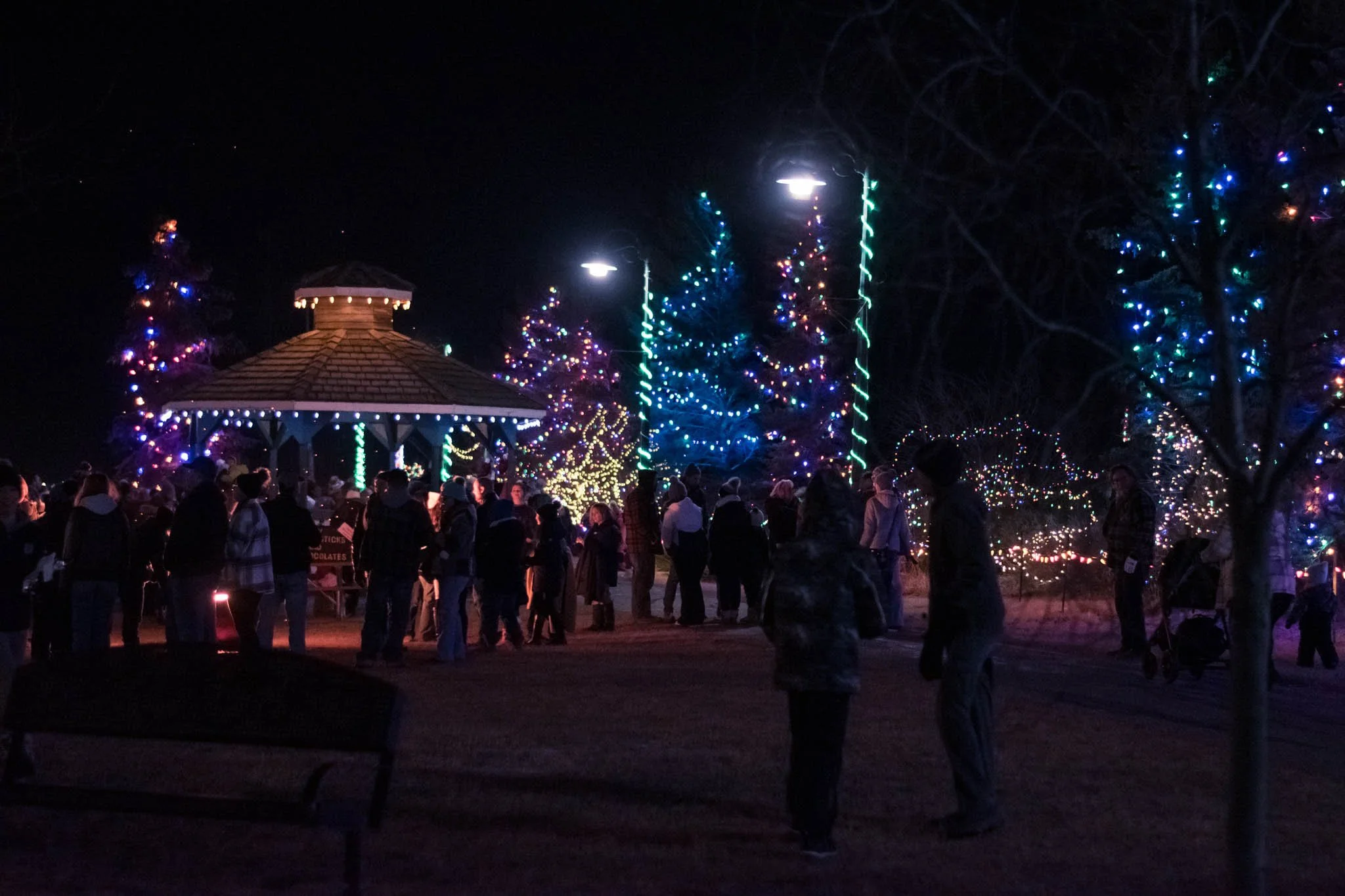 Christmas in Sexsmith - Thursday, Nov 20 2025-066.jpg