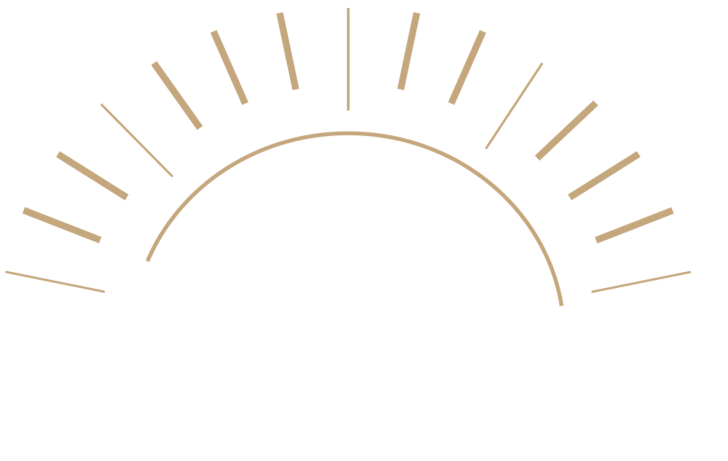 Aurora Music Academy NJ