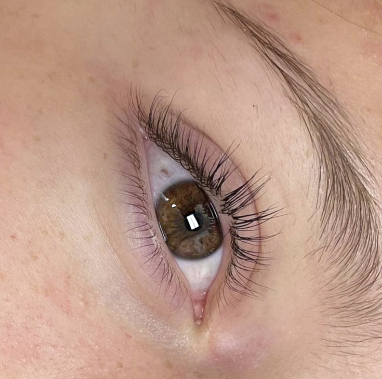 Lash Lift and Tint