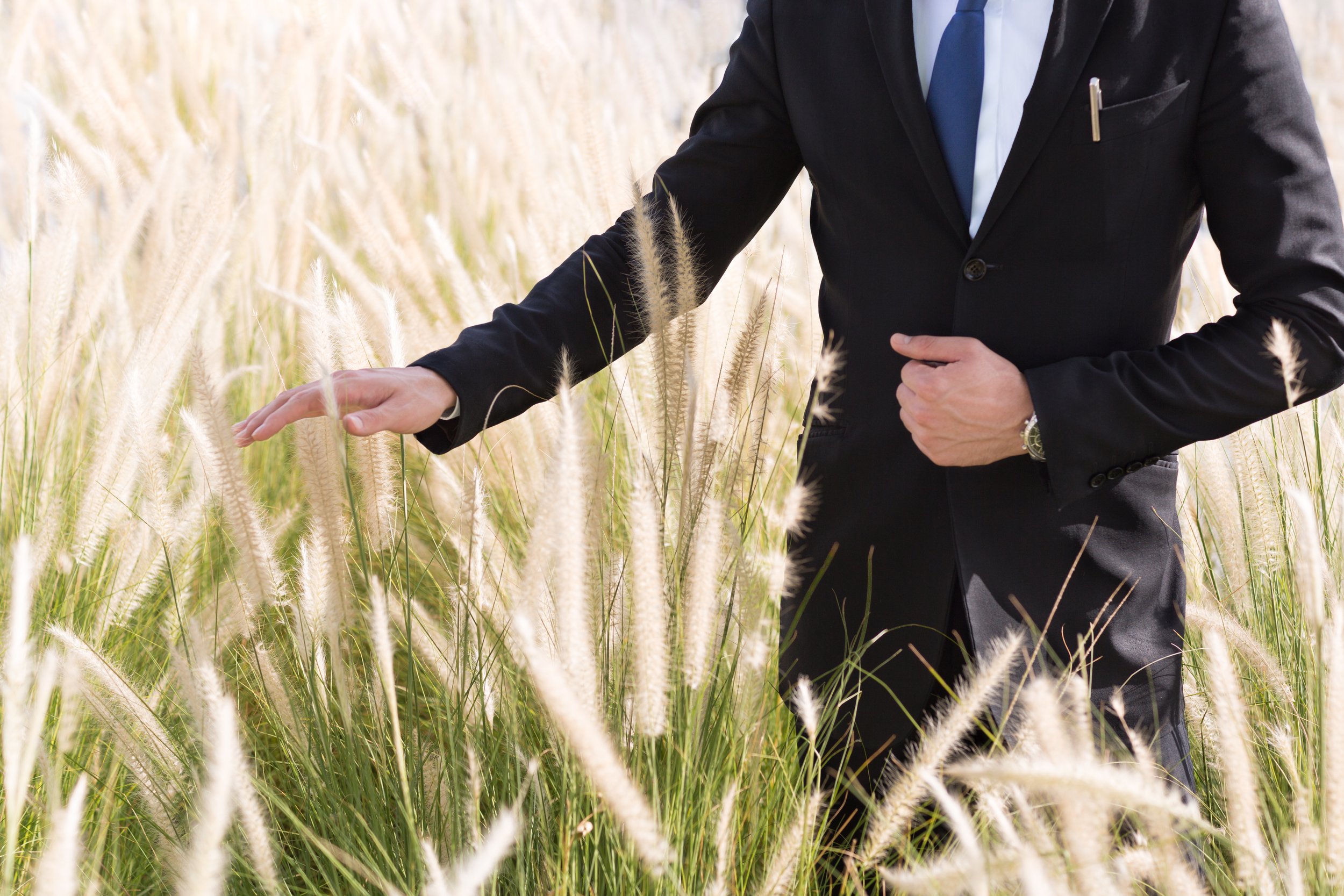 suit in field.jpg