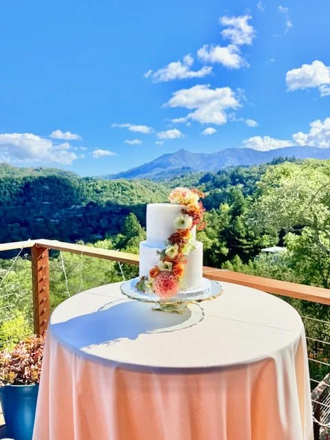 Connor and Ellie Wedding Cake 2025