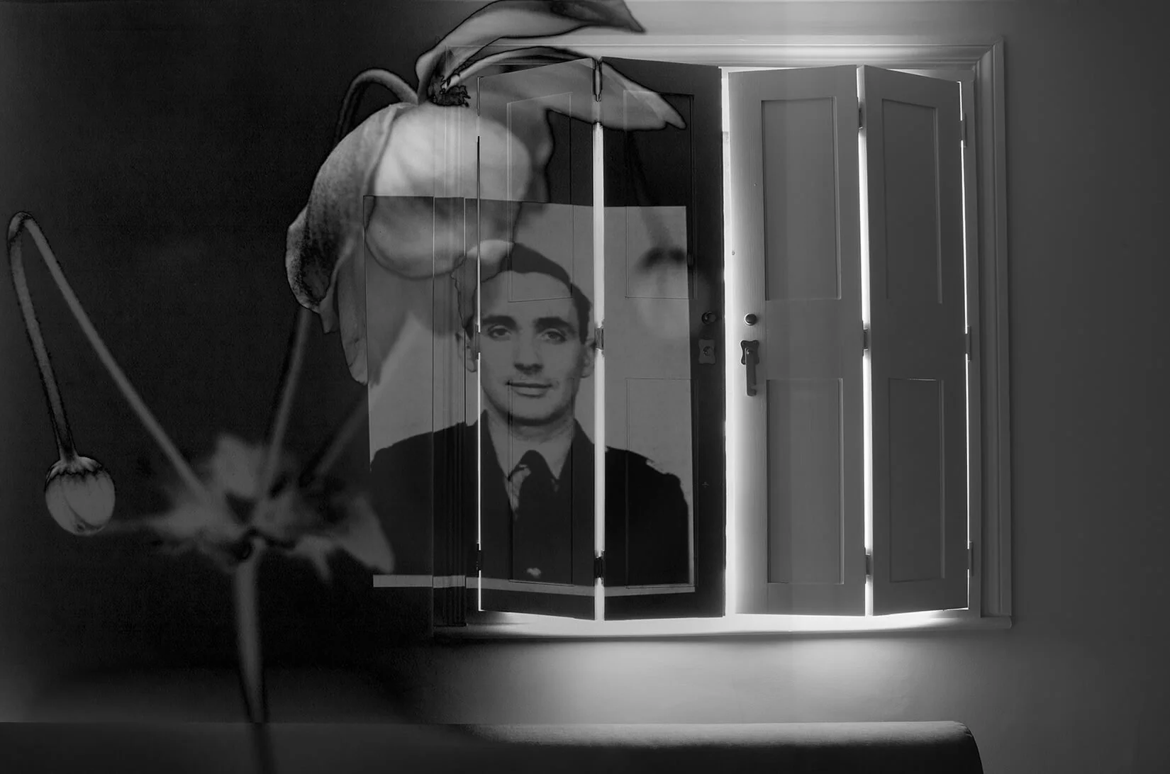 Maura_Jamieson -  Light Interiors