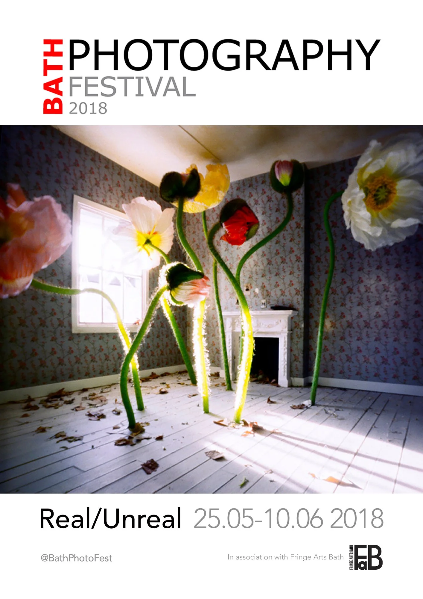 Jan Dunning - Precarious Rooms