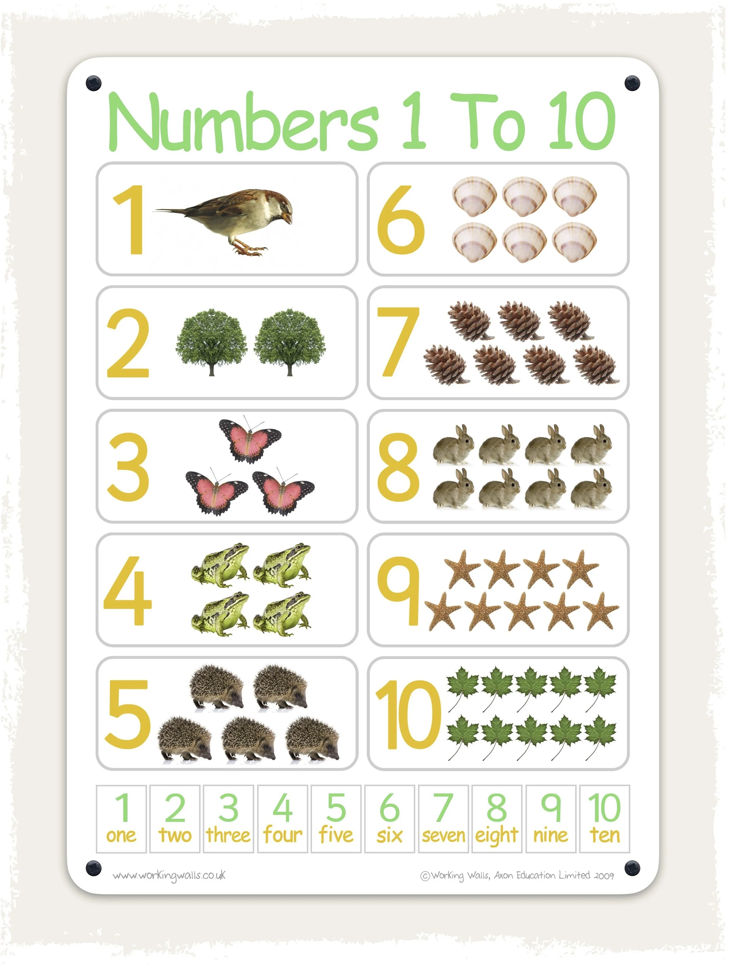 Numbers 1-10 Outdoor Board.jpg