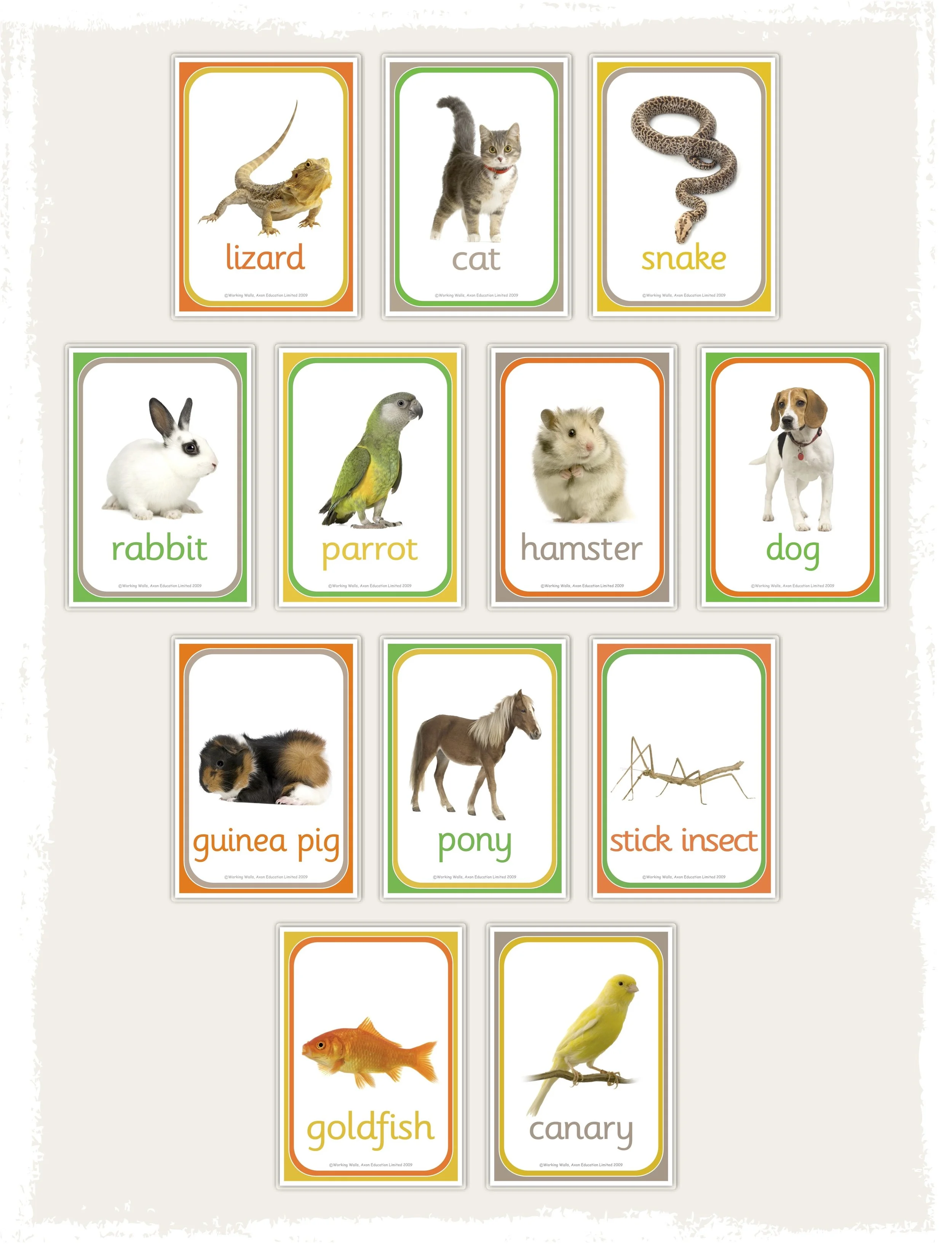 Our Pets Flashcards Working Walls