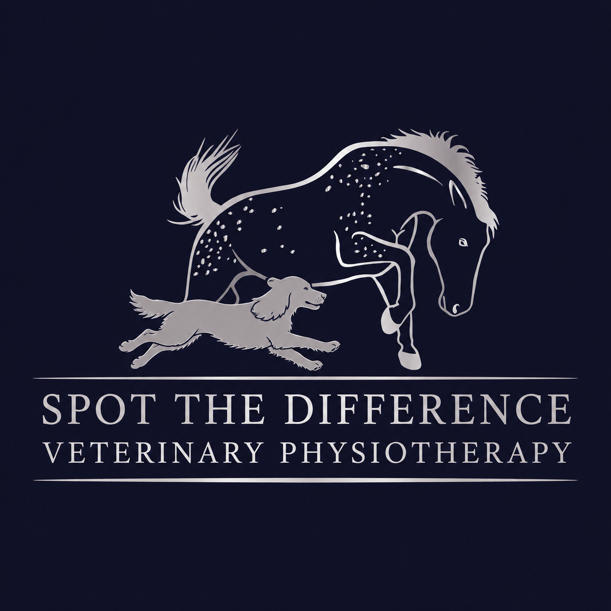 Spot the Difference Equine