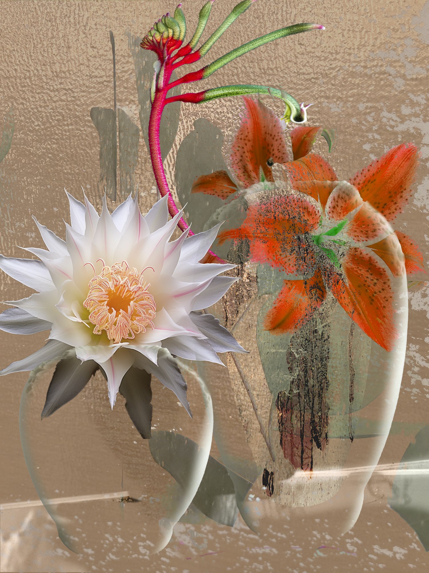 STILL LIFES UNBOUND 14