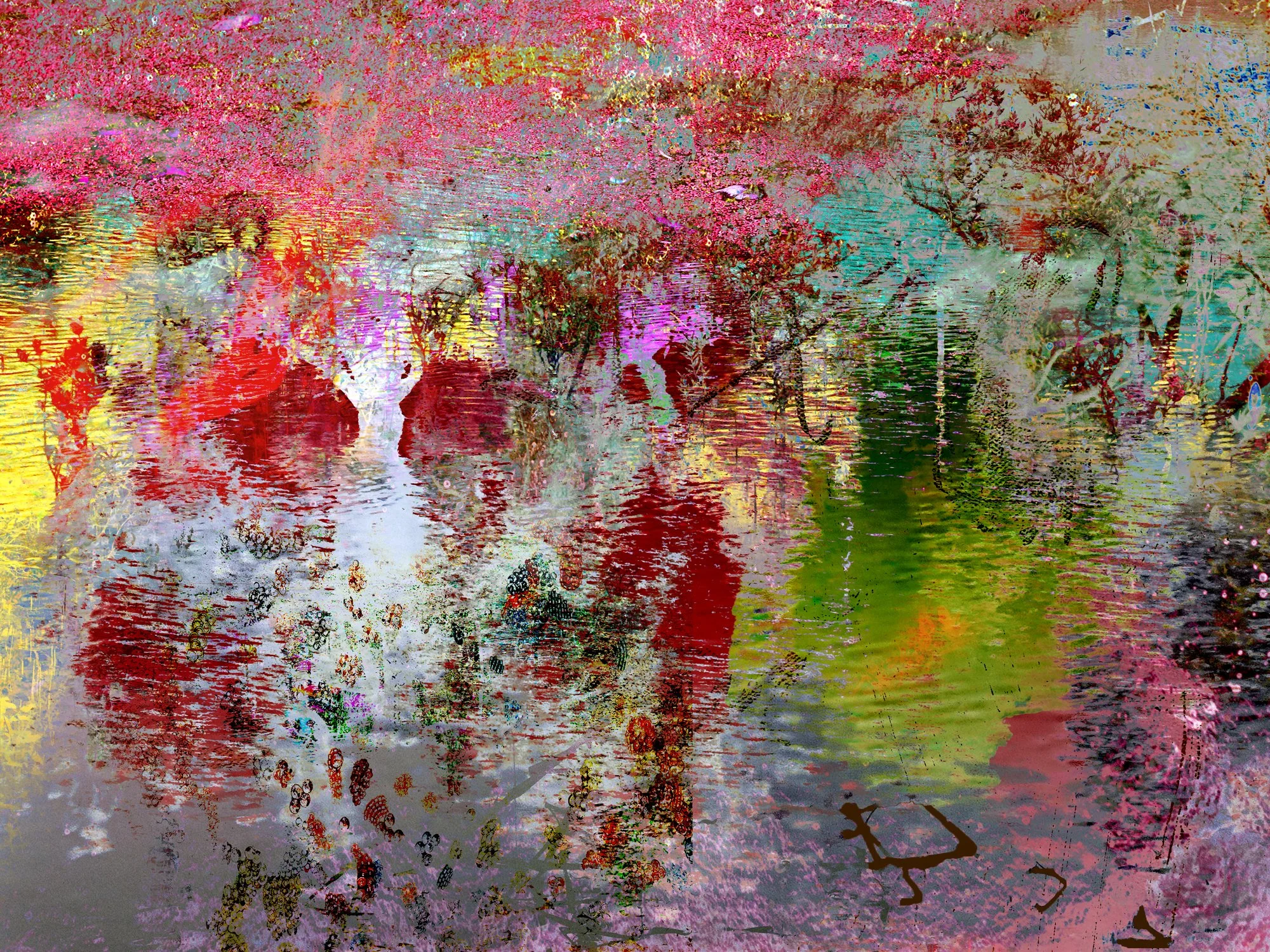 Mangroves 27