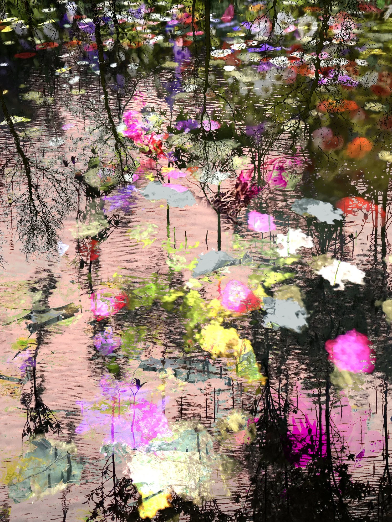 Mangroves 26