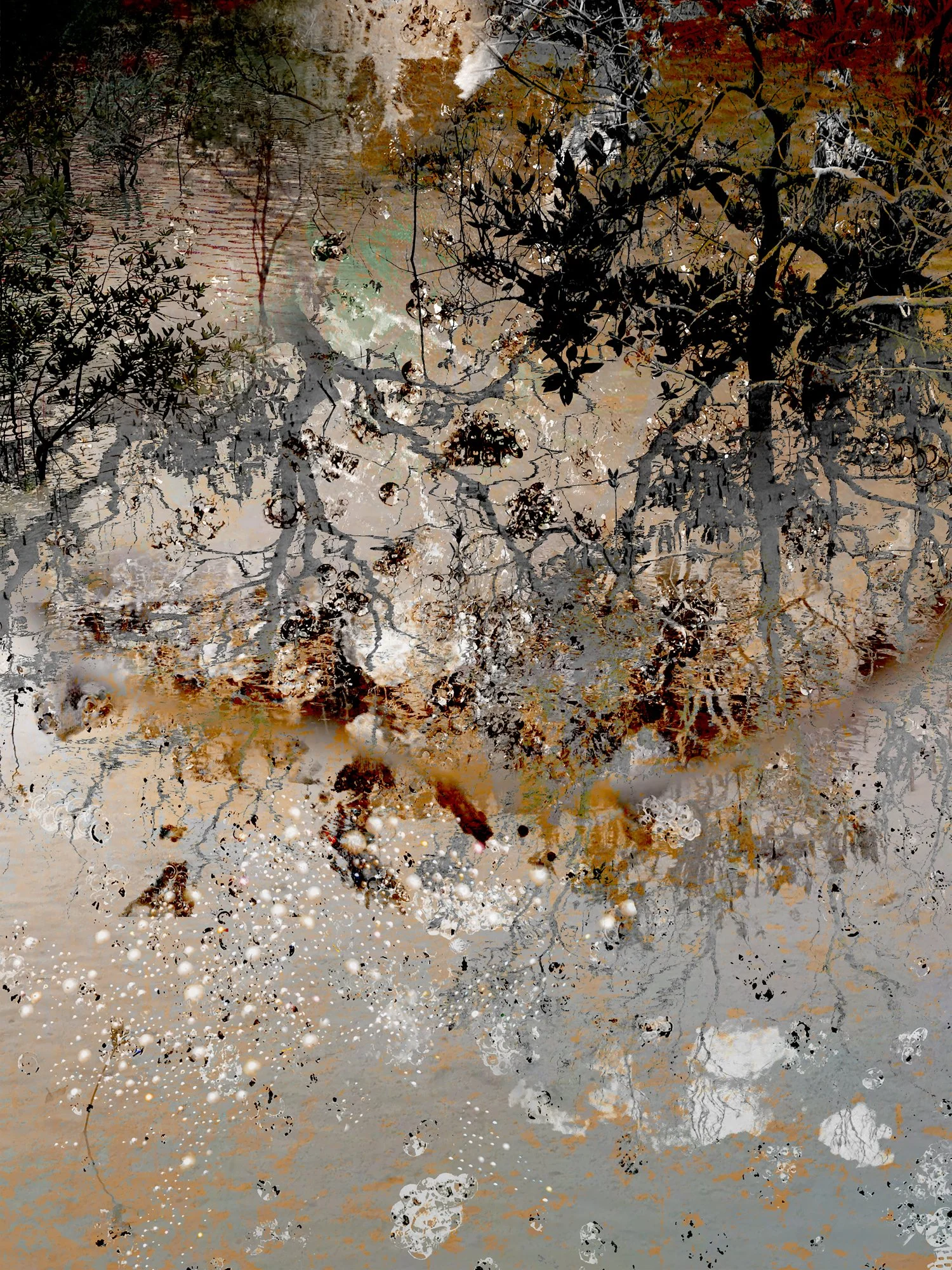Mangroves 25