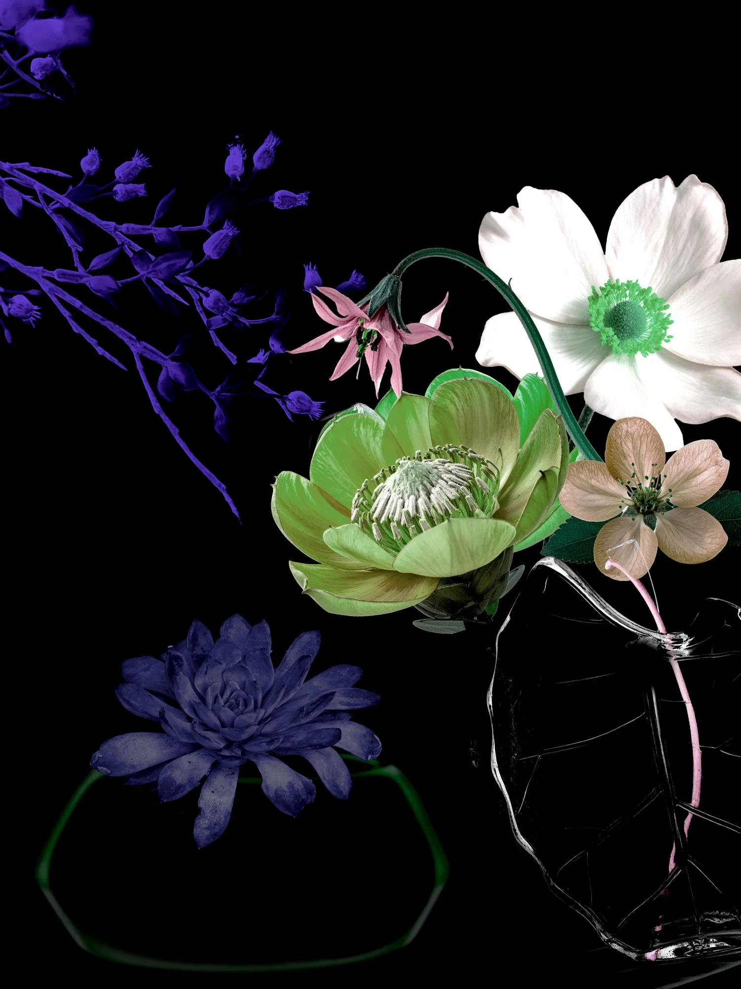 STILL LIFES UNBOUND 8