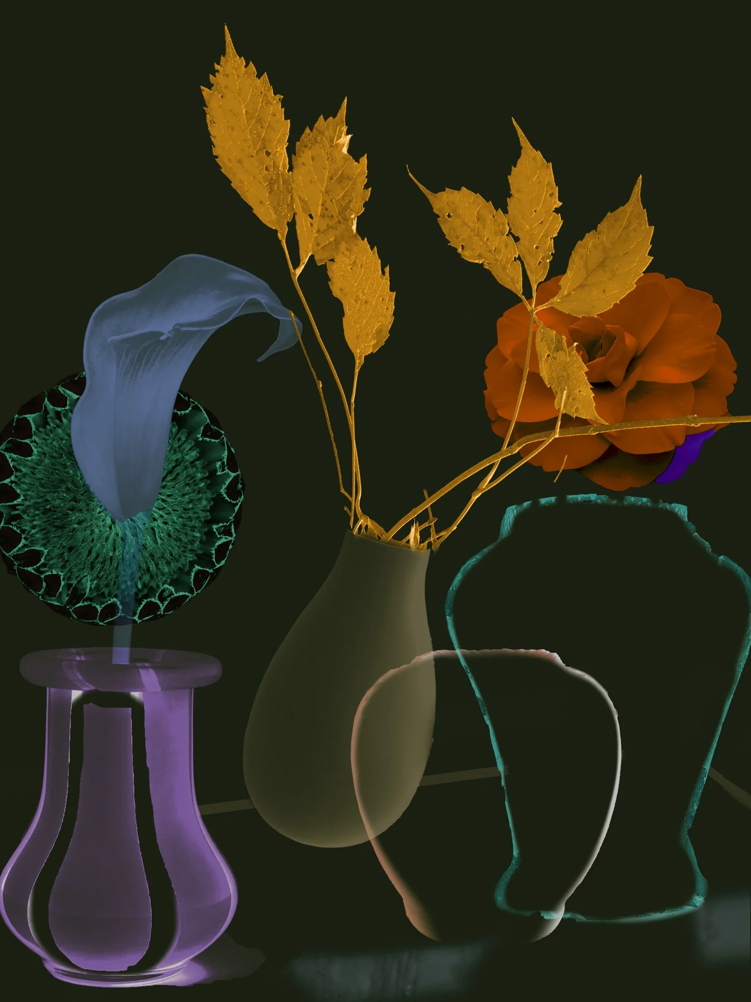 STILL LIFES UNBOUND 11