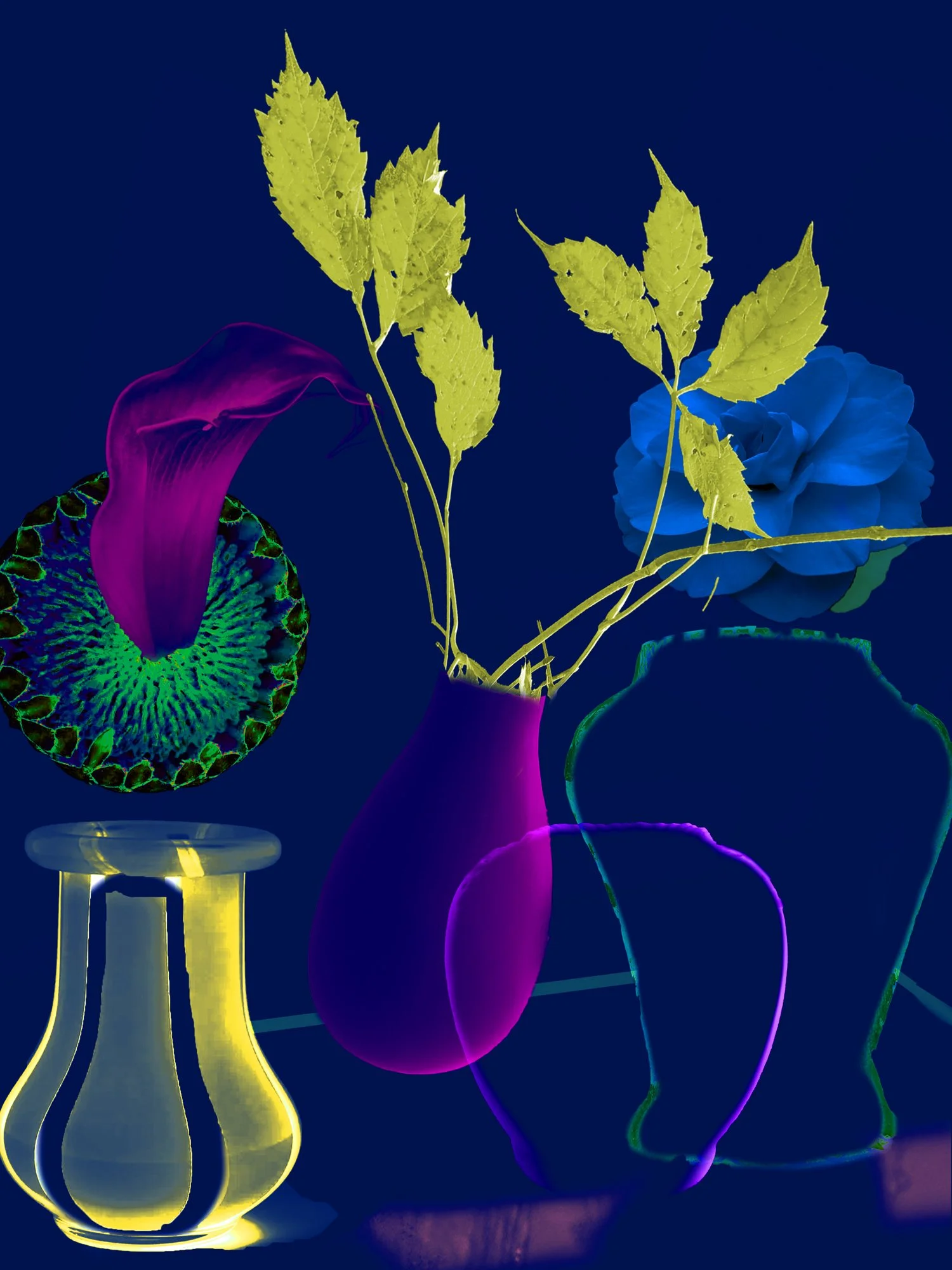 STILL LIFES UNBOUND 17