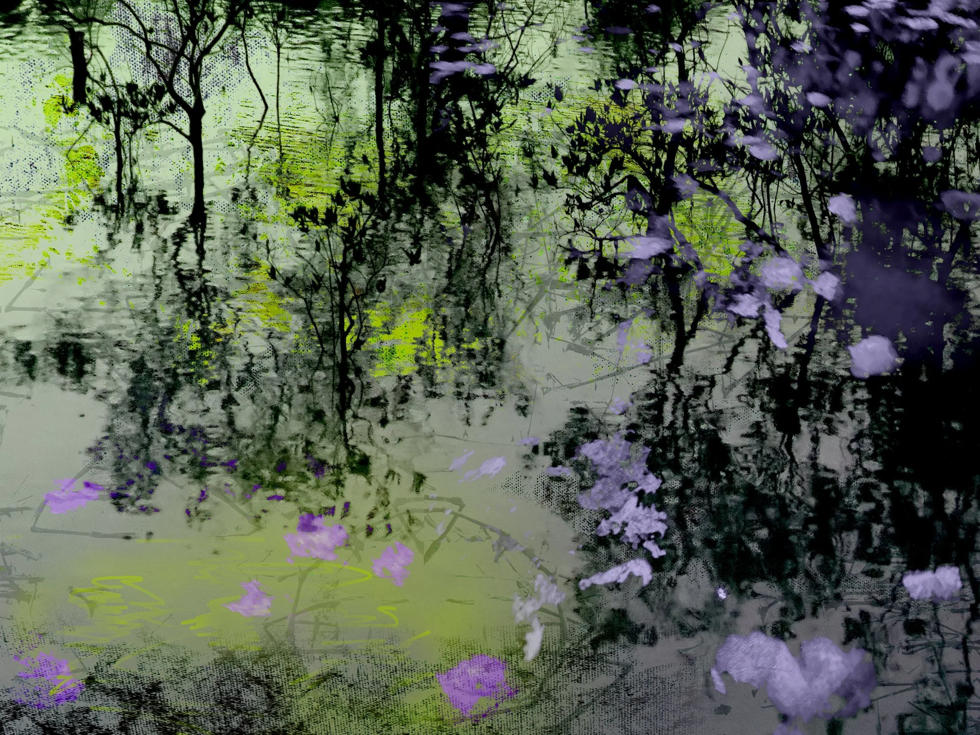 Mangroves 15