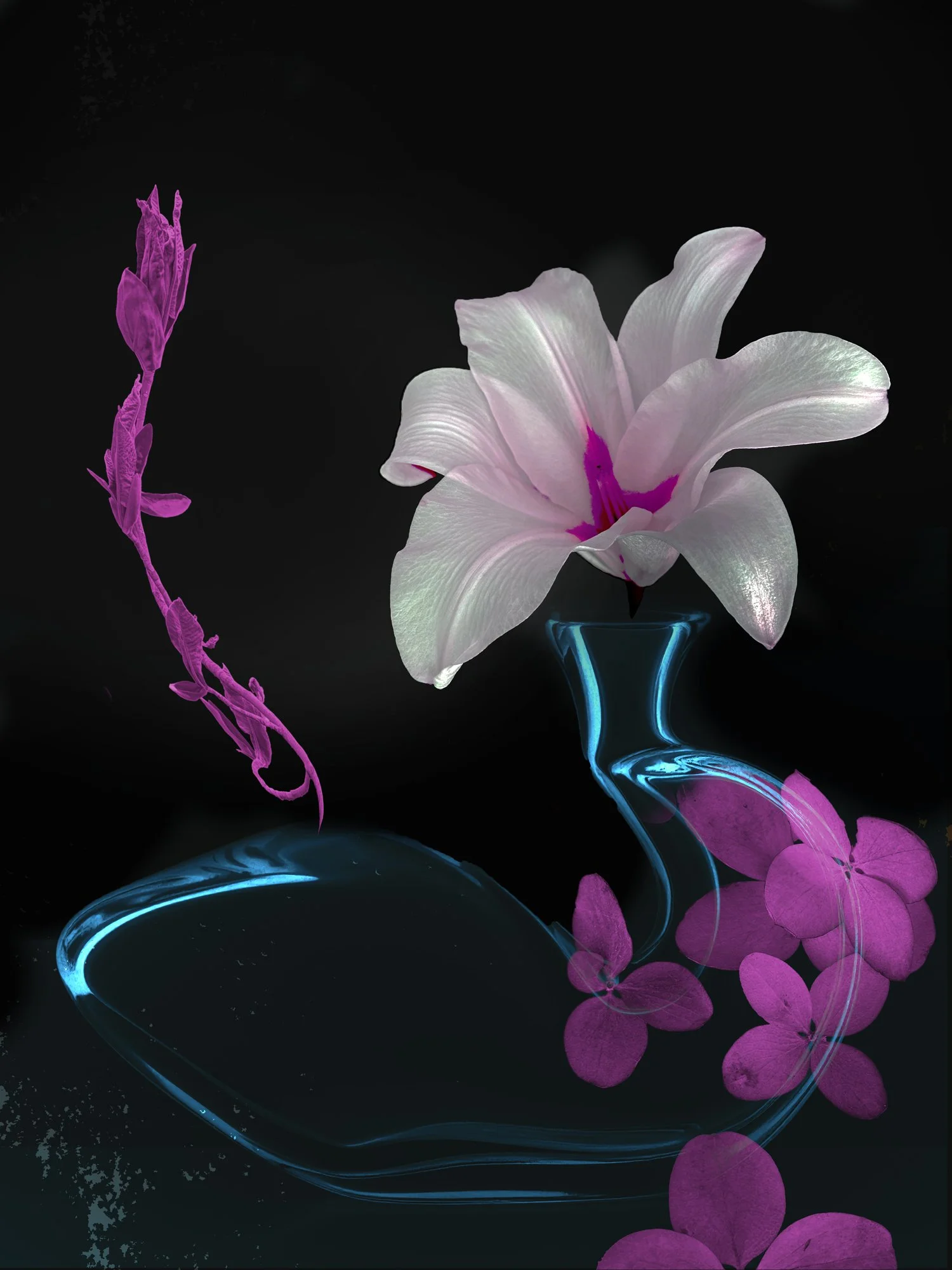 STILL LIFES UNBOUND 4