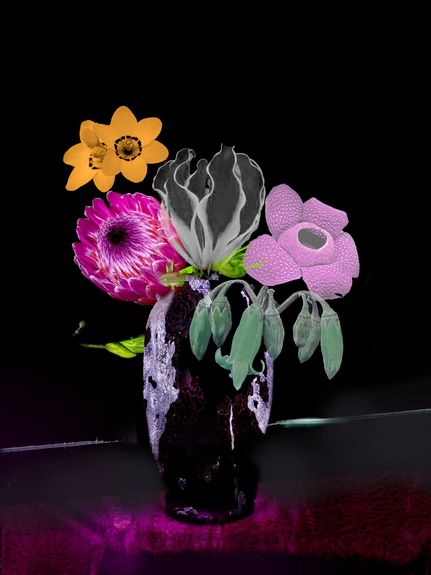 EXISTENTIAL STILL LIFES 9