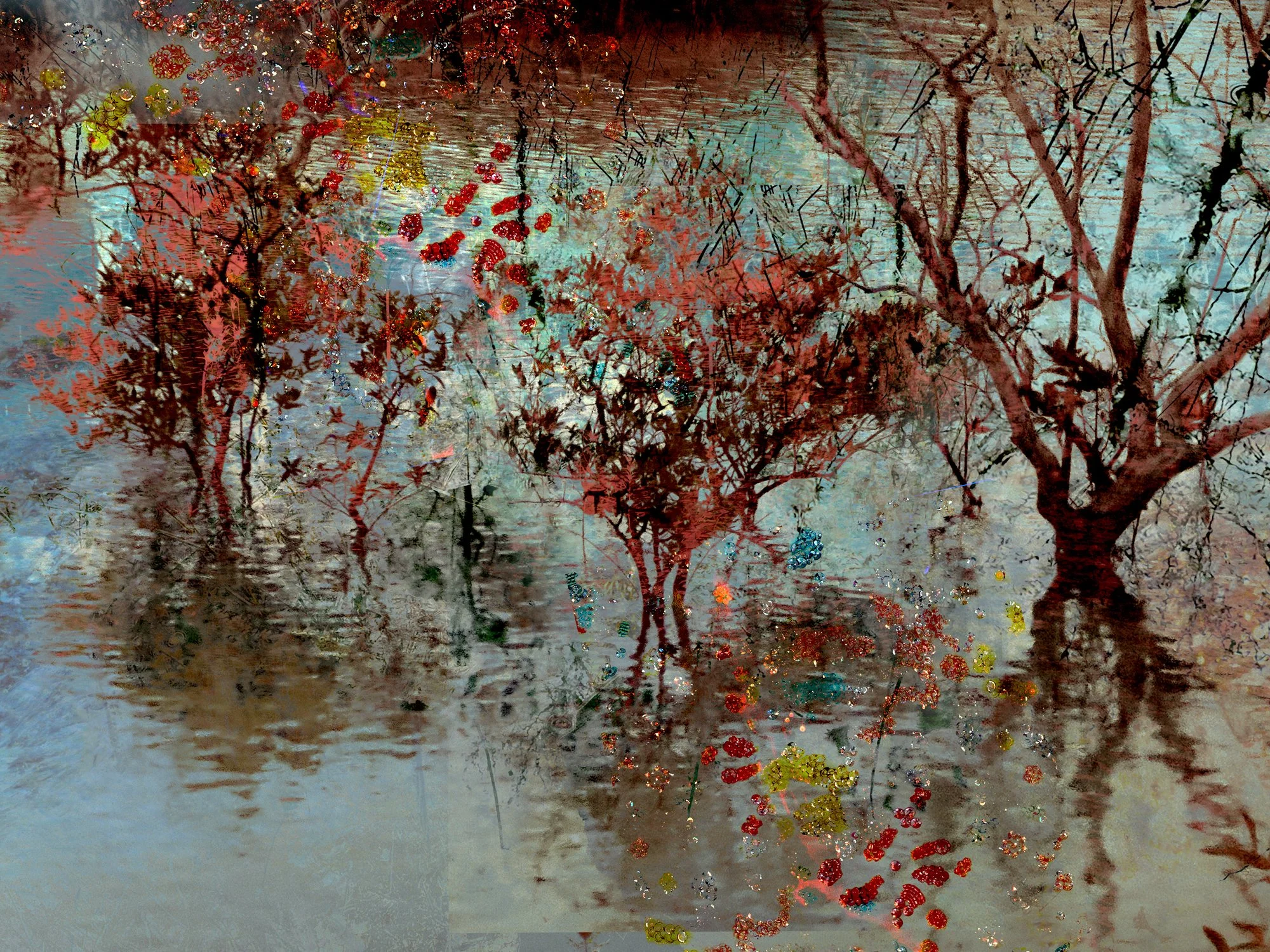 Mangroves 13