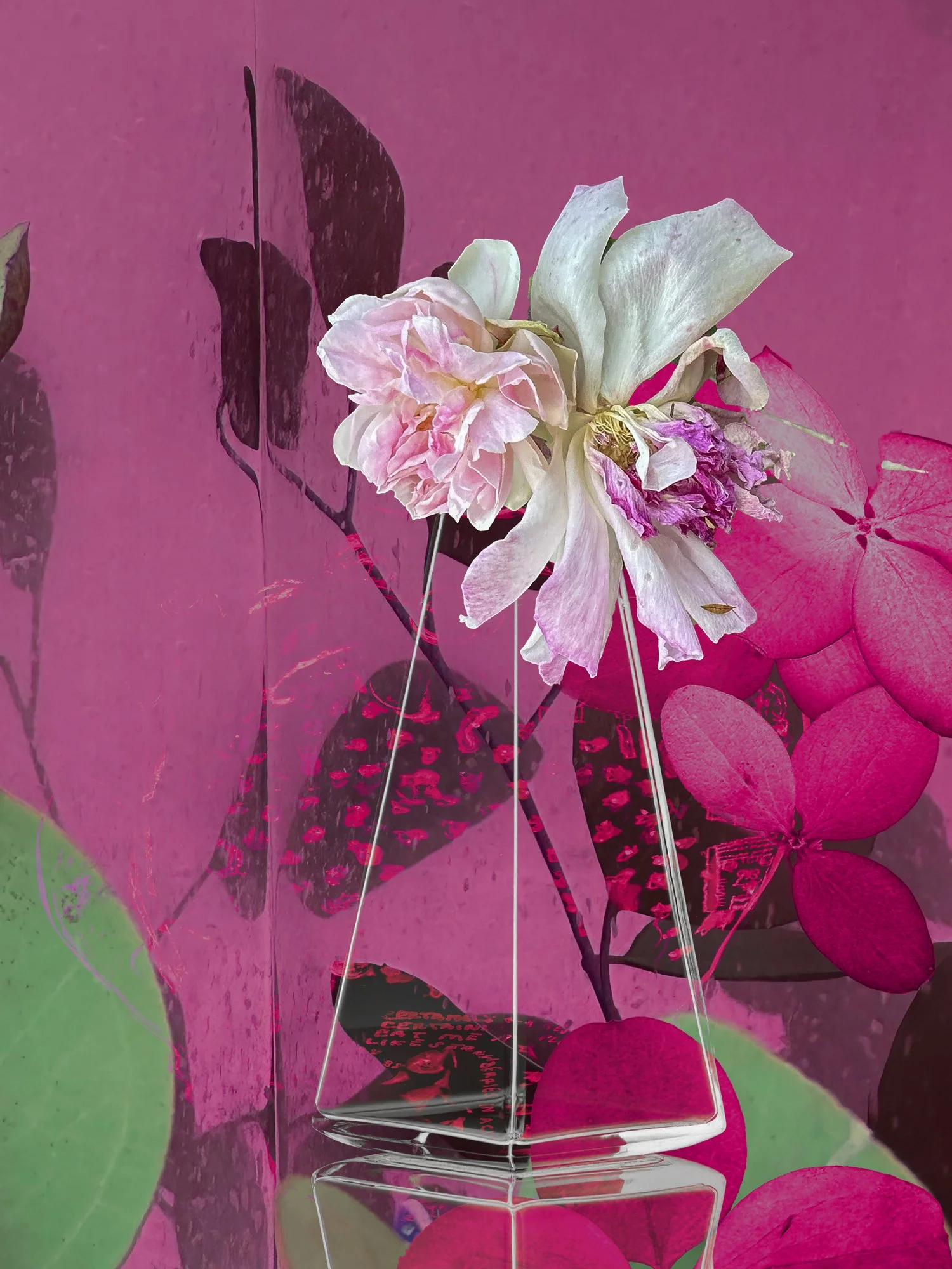 STILL LIFES UNBOUND 5