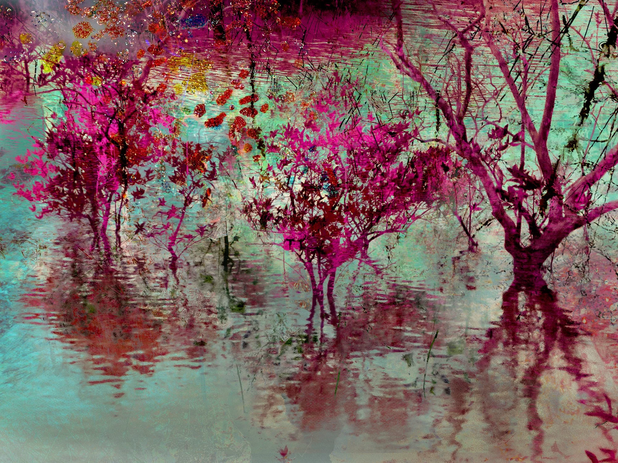 Mangroves 2