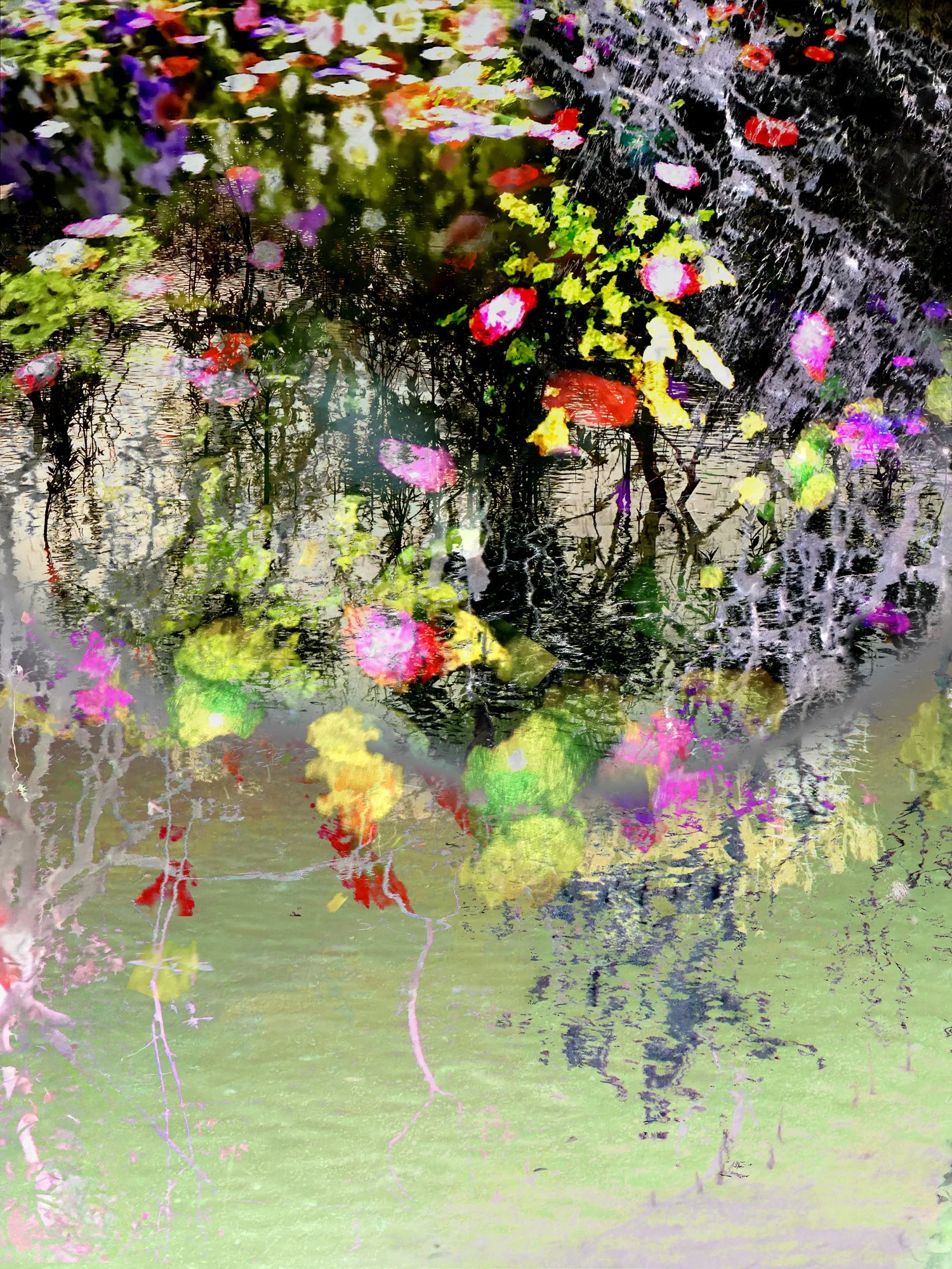 Mangroves 23