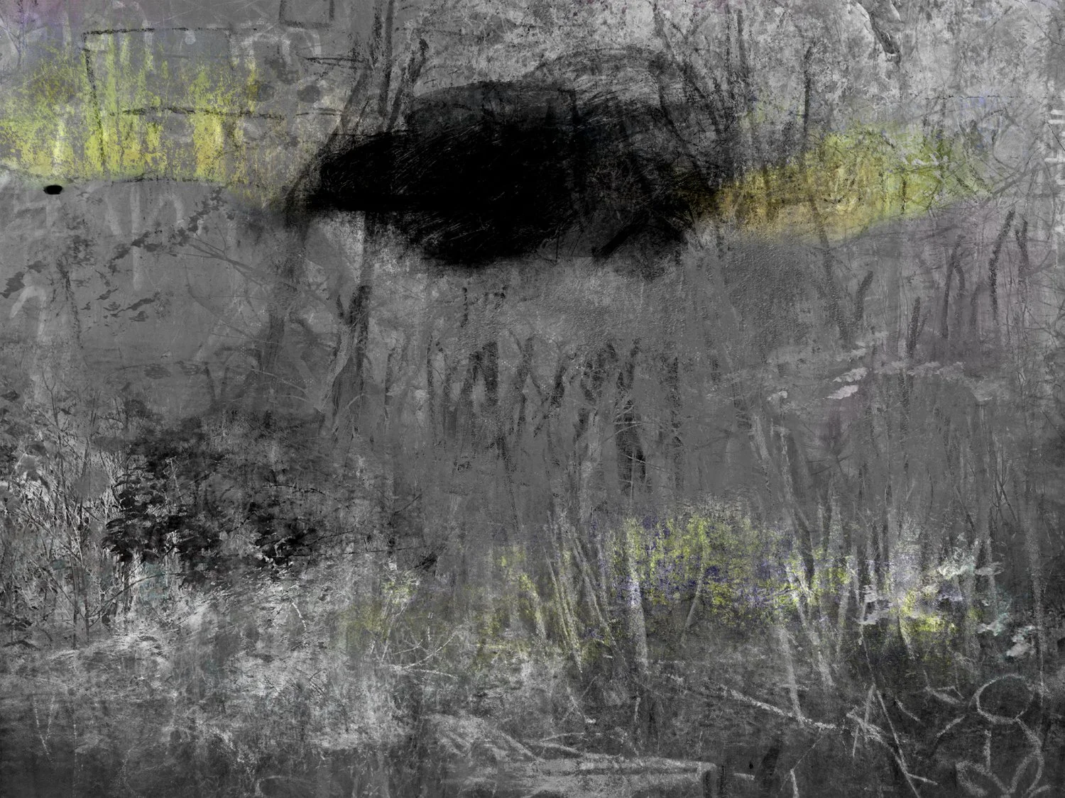 FICTIVE LANDSCAPES II 7