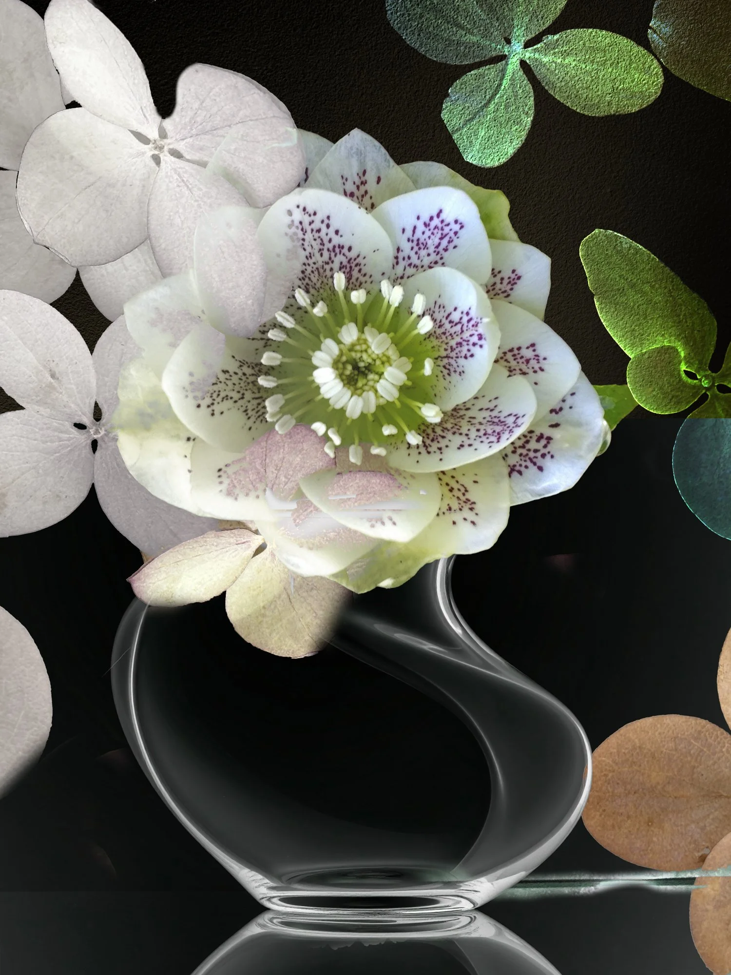 STILL LIFES UNBOUND 6