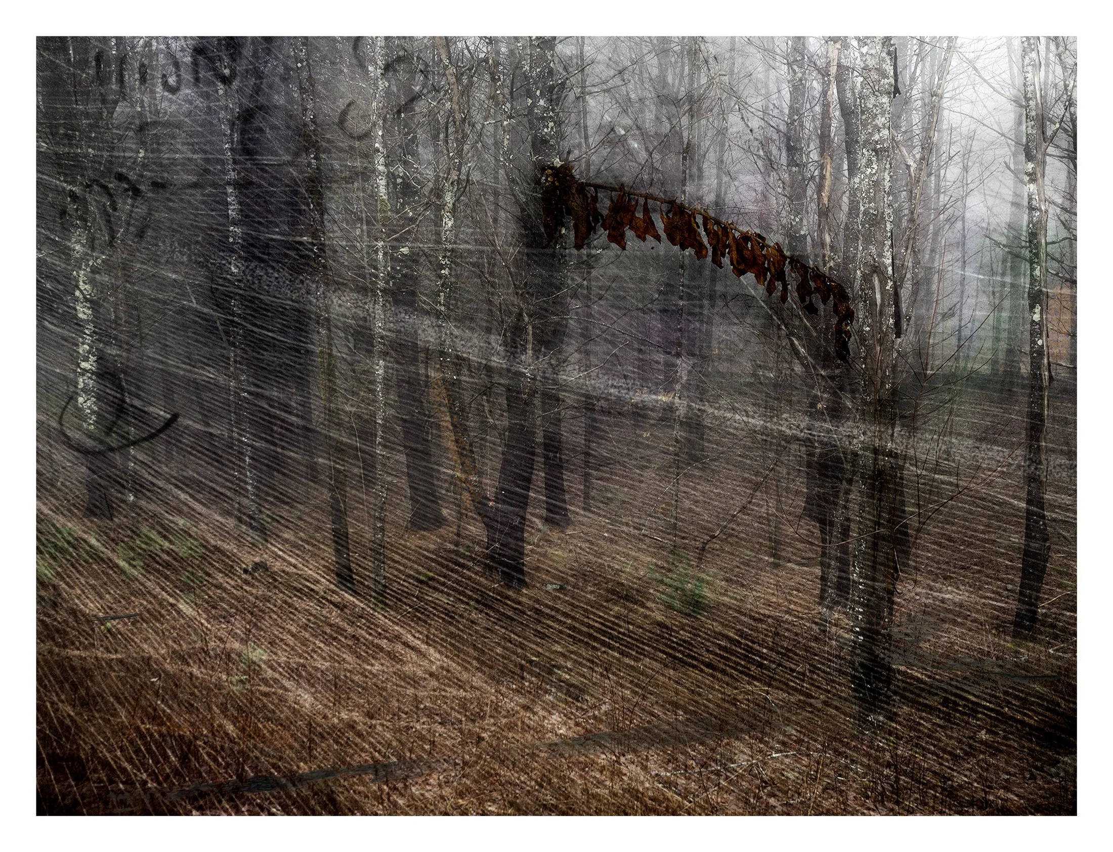 FICTIVE LANDSCAPES 8