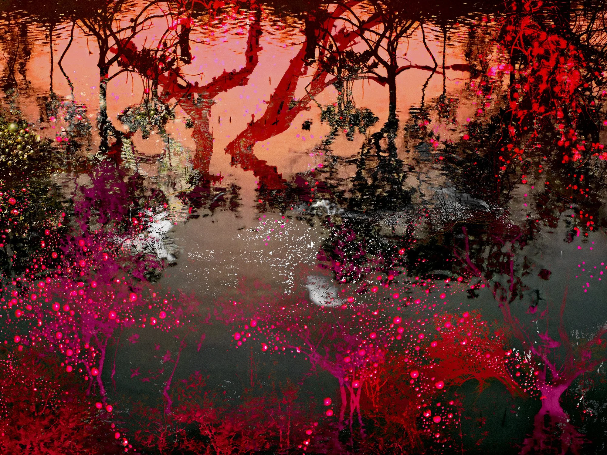 Mangroves 1