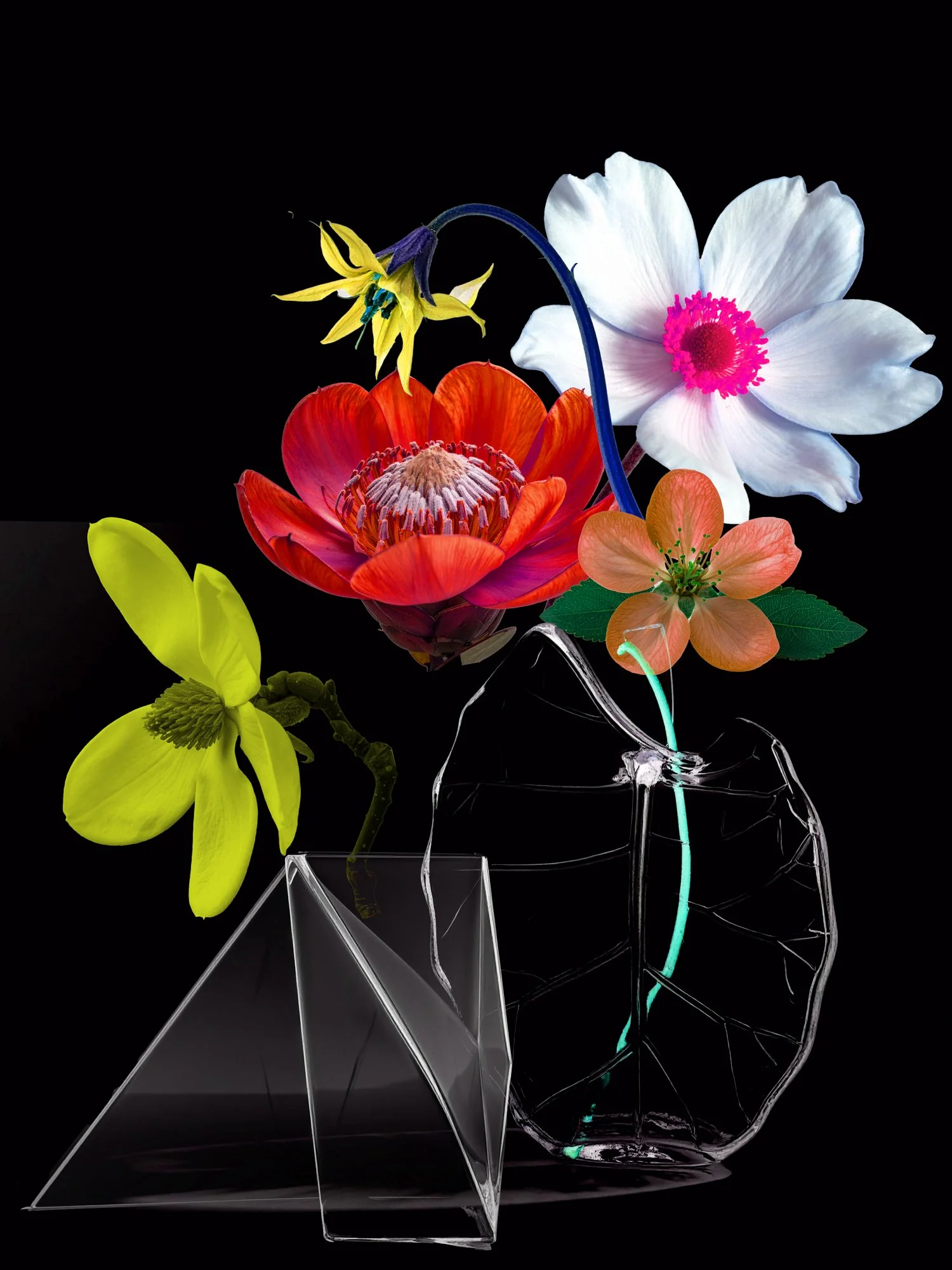 STILL LIFES UNBOUND 2