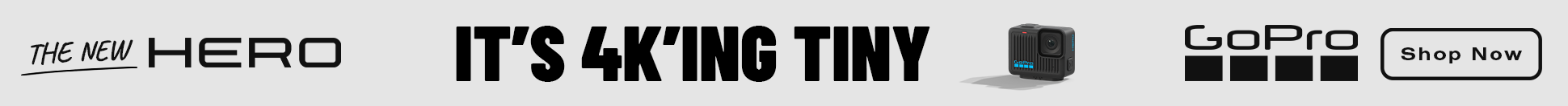 HERO_4kingTiny_WebBanner_970x66px.png